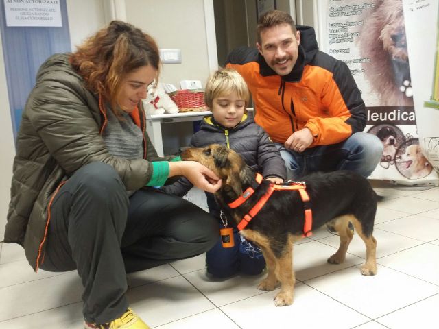 Paddy ha trovato famiglia!